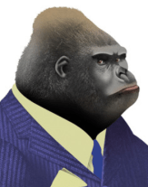 Gorilla